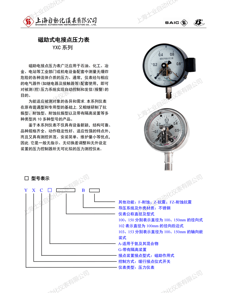 压力表样本_29.png